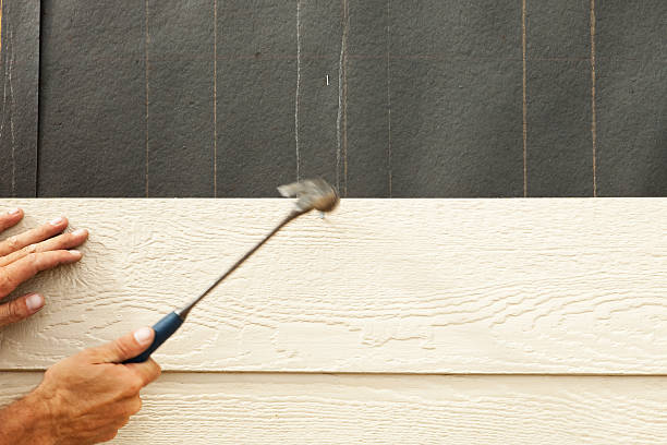 Best Wood Siding Installation  in Mission, TX